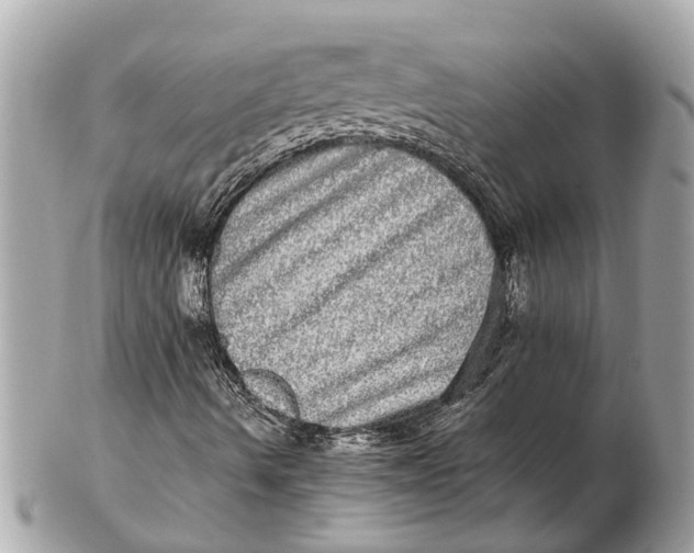 X0000102521490200808291745