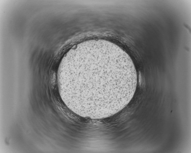 X0000102521492200808291745