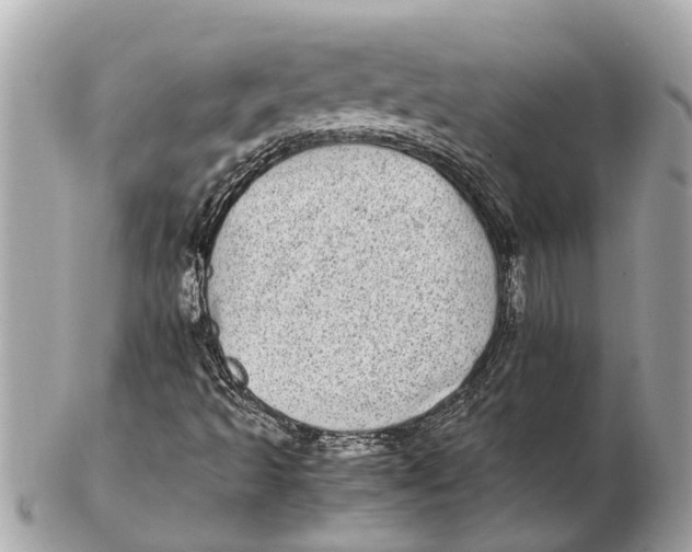 X0000102521493200808291745