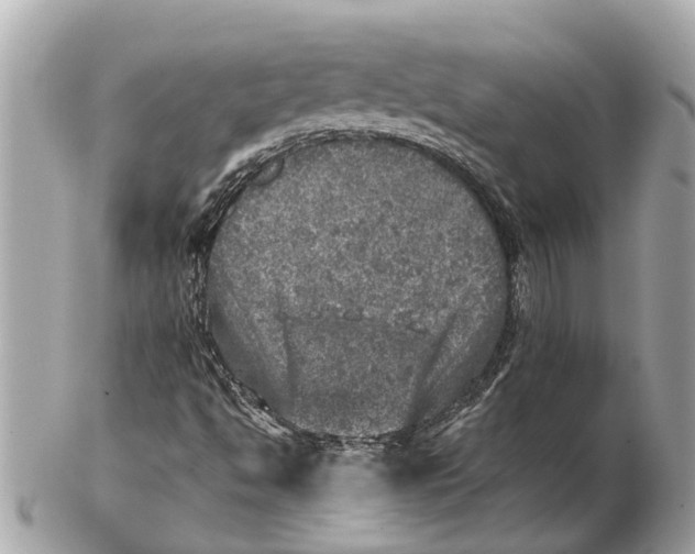 X0000102521494200808291745