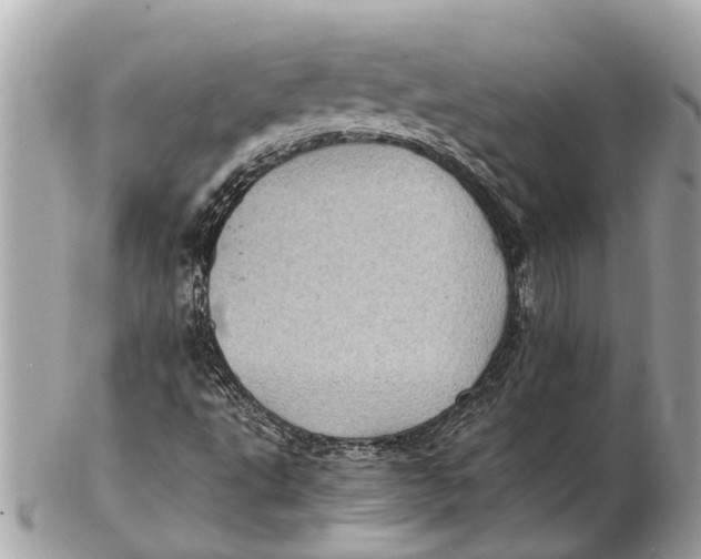 X0000102521495200808291745