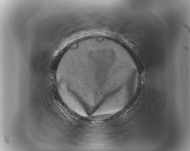 X0000102521496200808291745