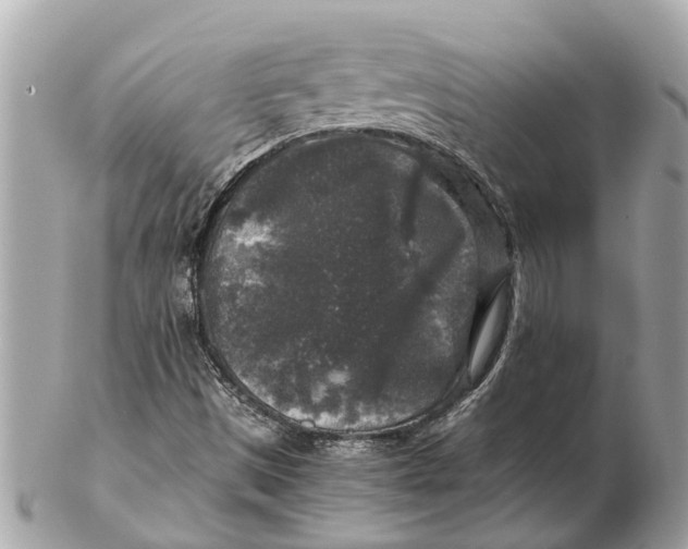 X0000102521497200808291745