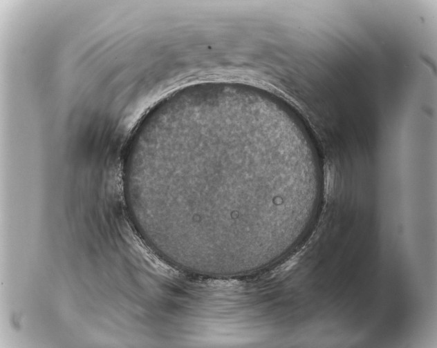 X0000102521498200808291745