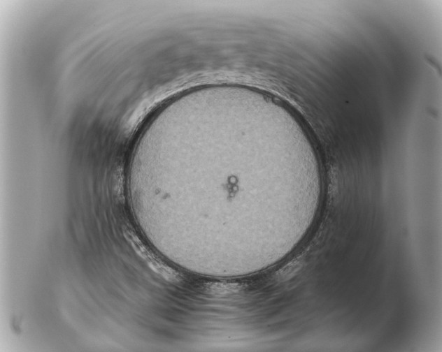 X0000102521499200808291745