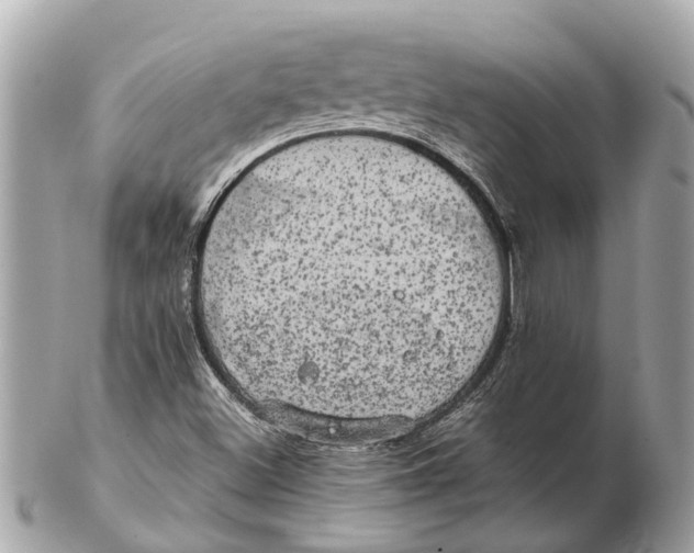 X0000102521500200808291745