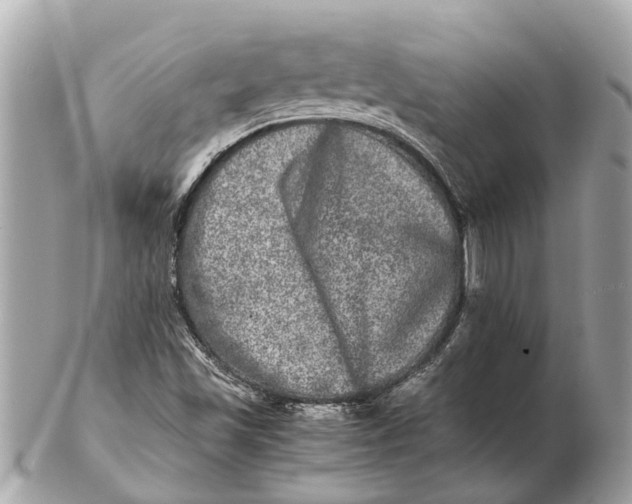 X0000102521501200808291745