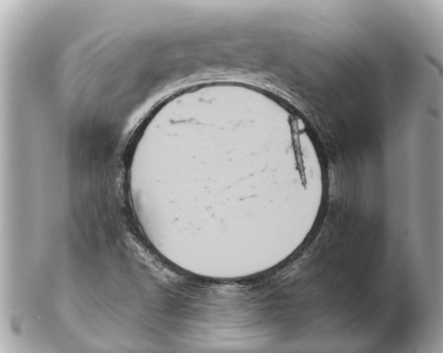 X0000102521502200808291745