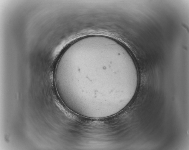 X0000102521503200808291745