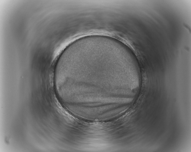 X0000102521504200808291745