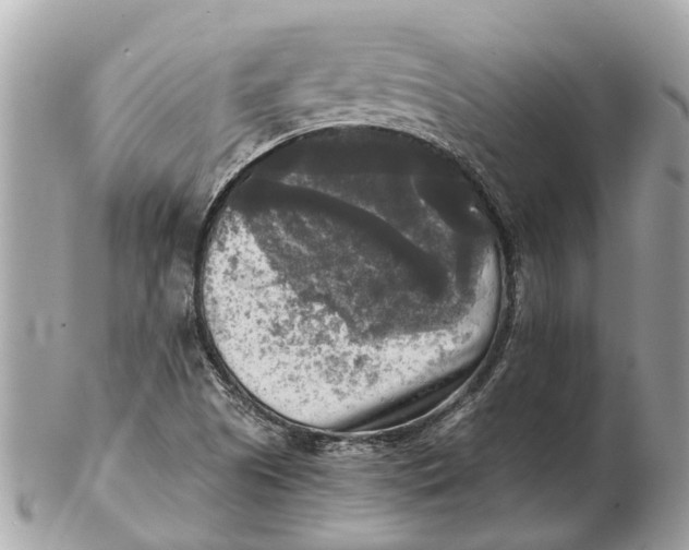 X0000102521505200808291745