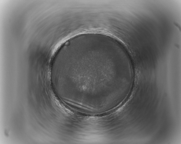 X0000102521506200808291745