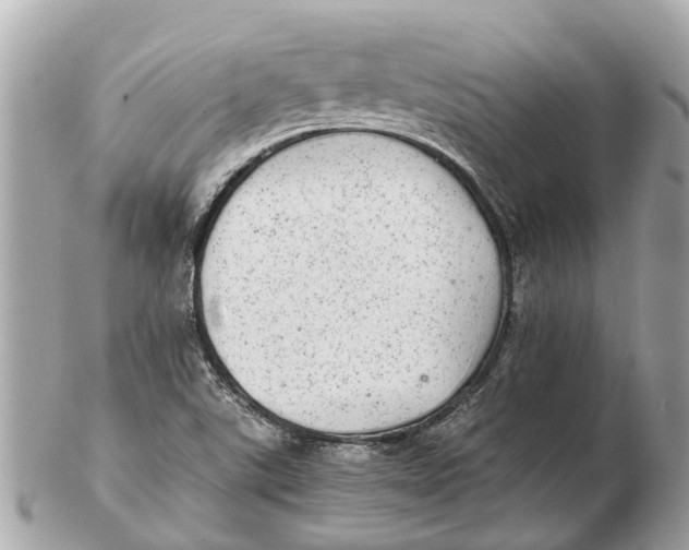 X0000102521507200808291745