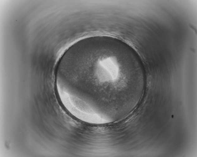 X0000102521508200808291745