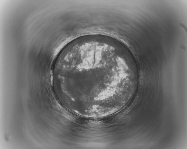 X0000102521509200808291745