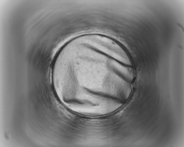 X0000102521510200808291745