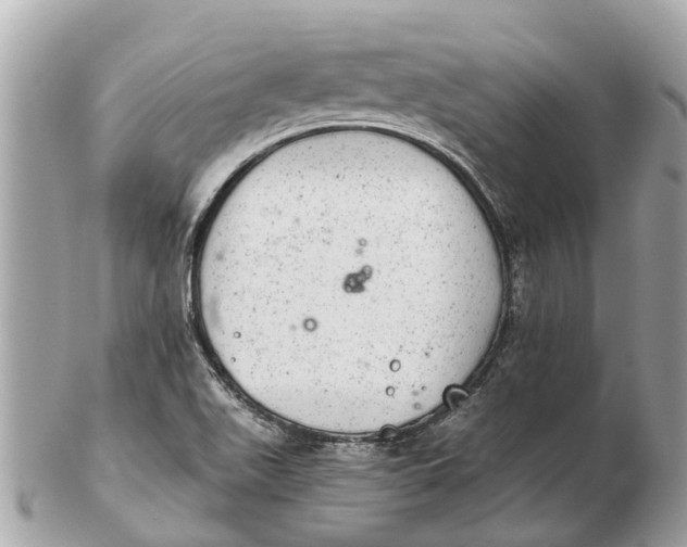 X0000102521511200808291745