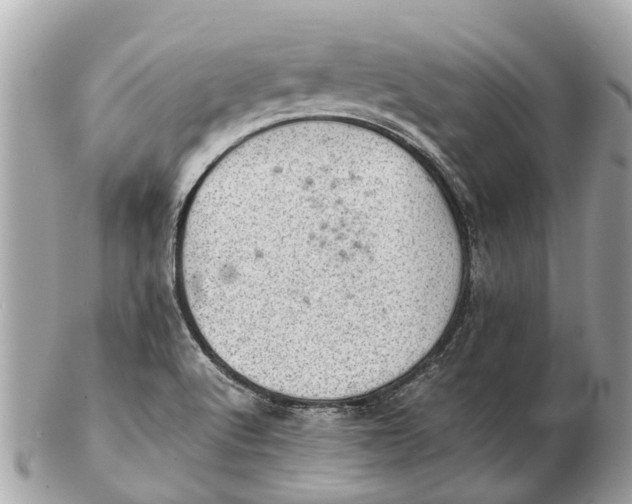 X0000102521512200808291745