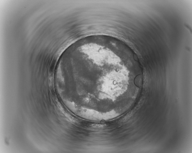 X0000102521513200808291745