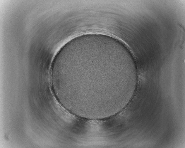 X0000102521514200808291745