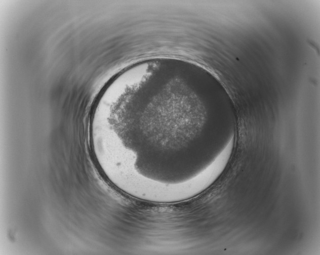 X0000102521515200808291745