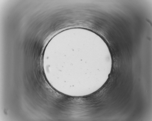 X0000102521516200808291745