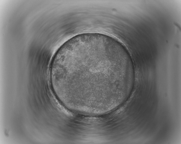 X0000102521517200808291745