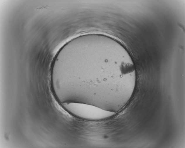 X0000102521518200808291745