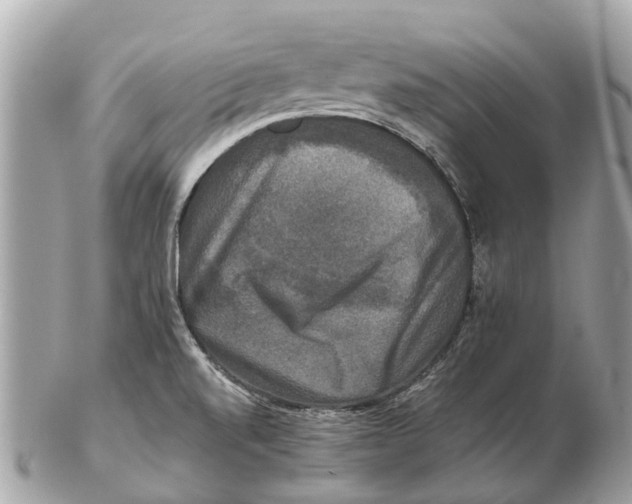 X0000102521520200808291745