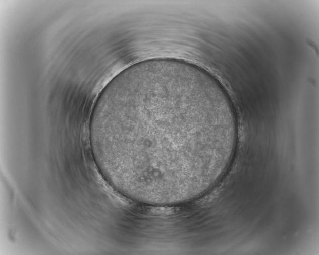 X0000102521521200808291745