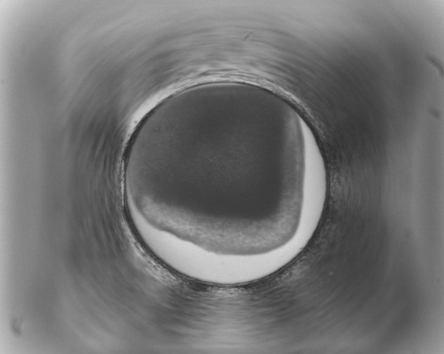 X0000102521522200808291745