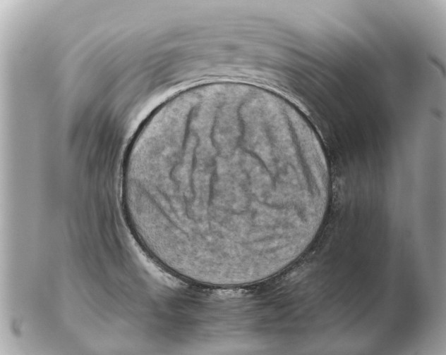 X0000102521523200808291745