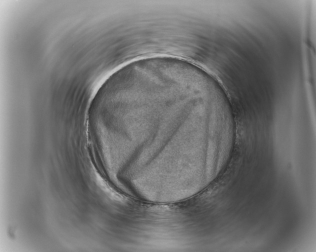 X0000102521524200808291745