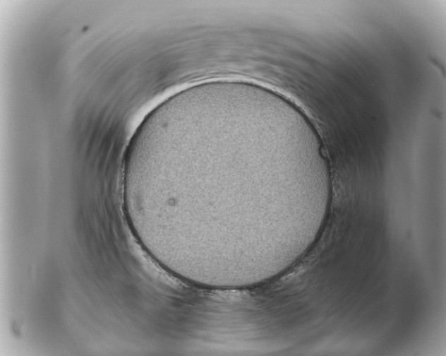 X0000102521526200808291745