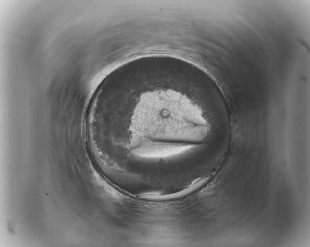 X0000102521527200808291745