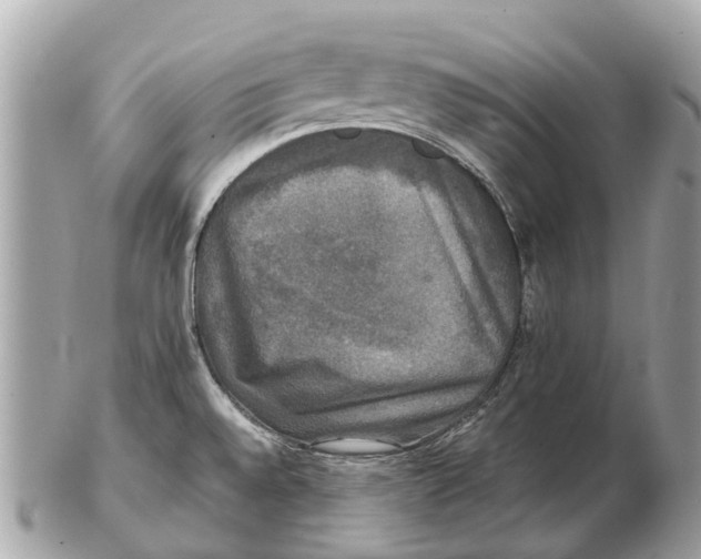 X0000102521528200808291745