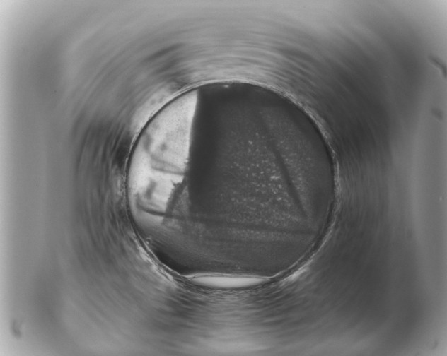 X0000102521529200808291745