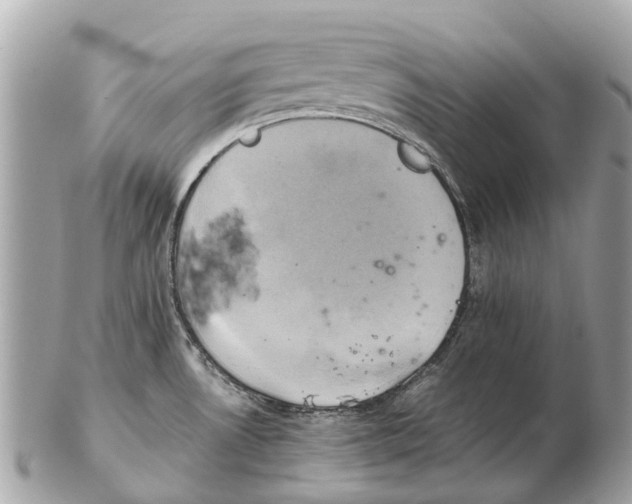 X0000102521530200808291745