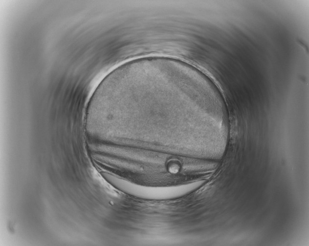 X0000102521532200808291745