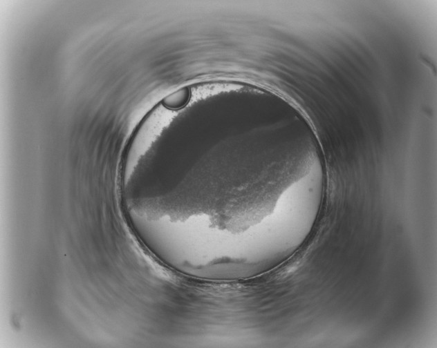 X0000102521533200808291745