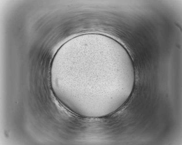 X0000102521534200808291745