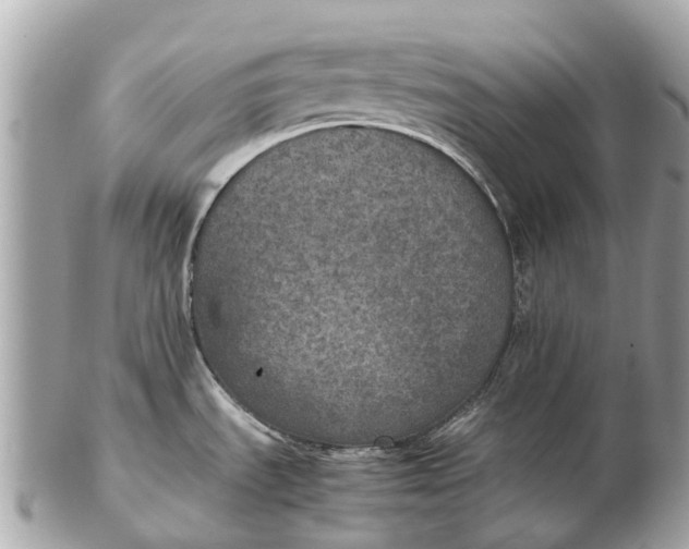 X0000102521535200808291745