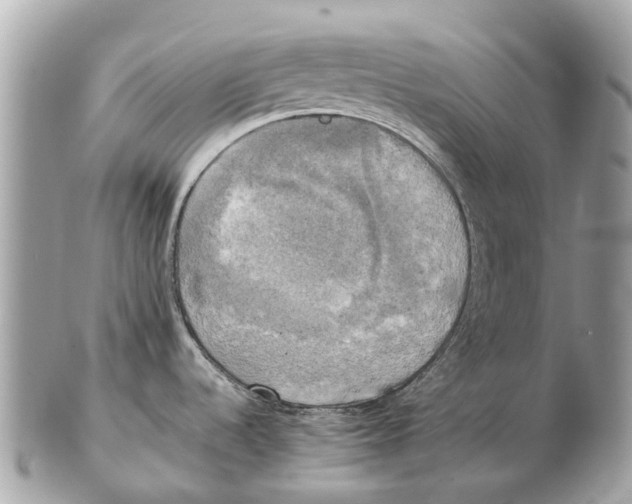 X0000102521536200808291745