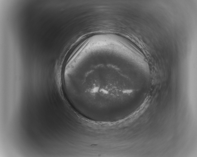X0000102520002200809051453
