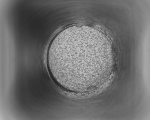 X0000102520003200809051453