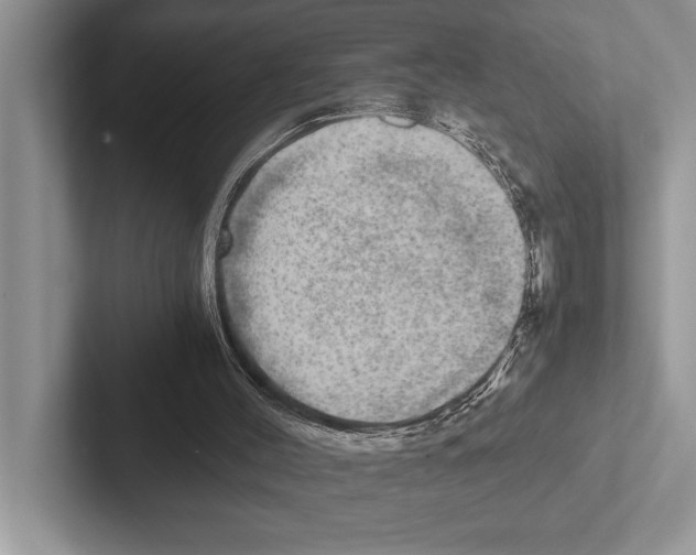 X0000102520004200809051453