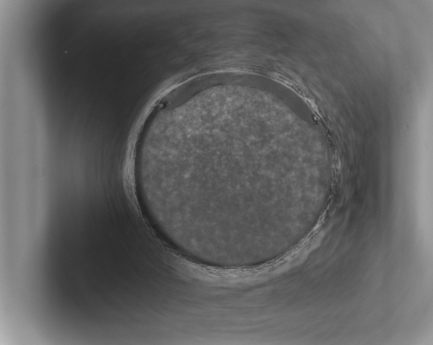 X0000102520006200809051453
