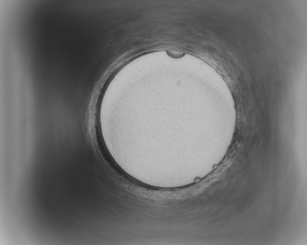 X0000102520007200809051453