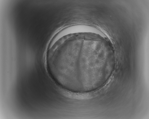 X0000102520008200809051453