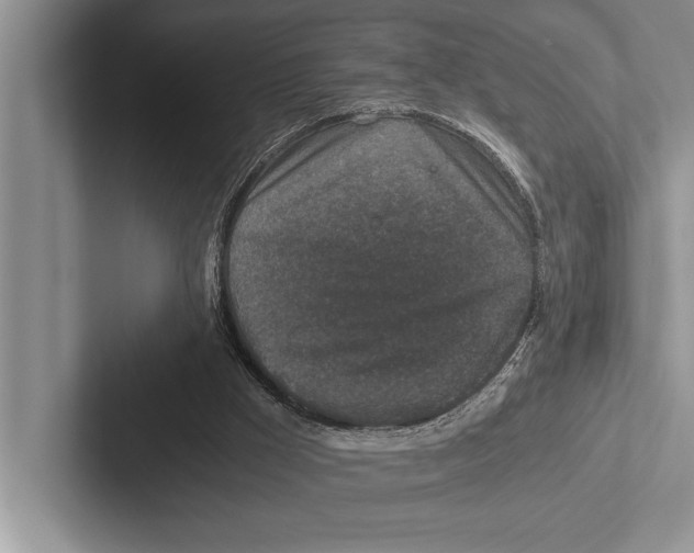X0000102520009200809051453